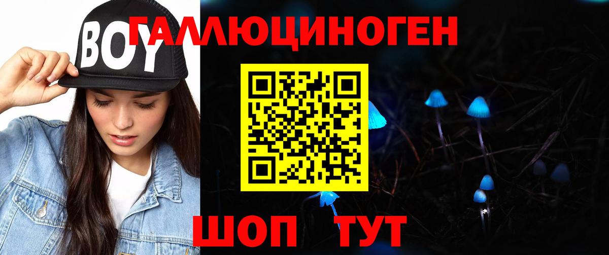 Галлюциногенные грибы Cubensis  Вход с VPN  Трёхгорный 